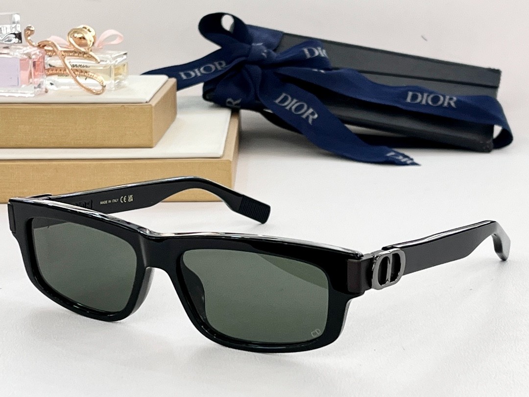 DIOR 01 glasses