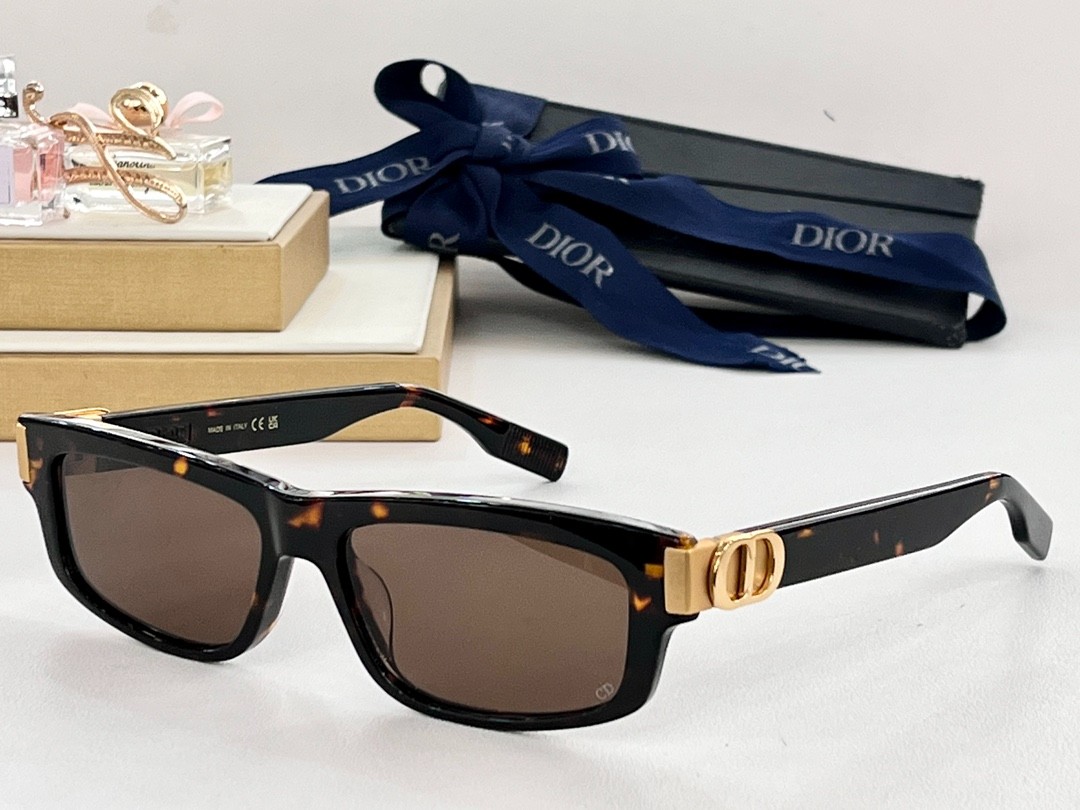 DIOR 01 glasses