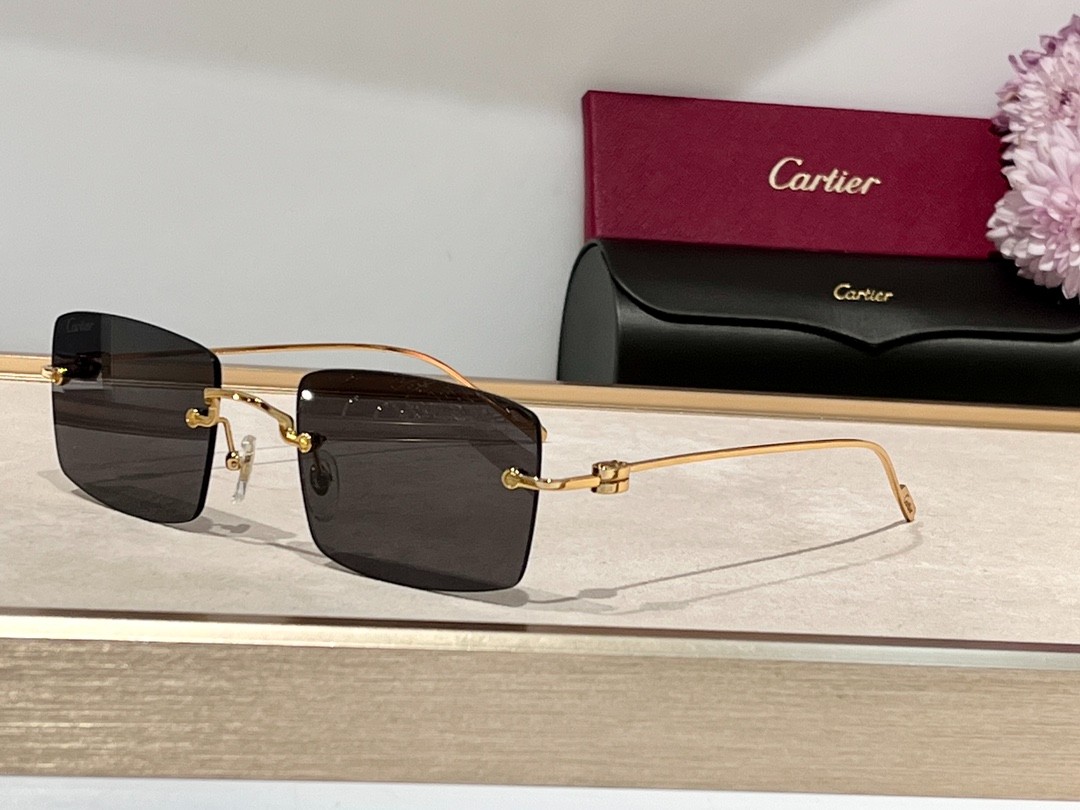 Cartier 02 glasses