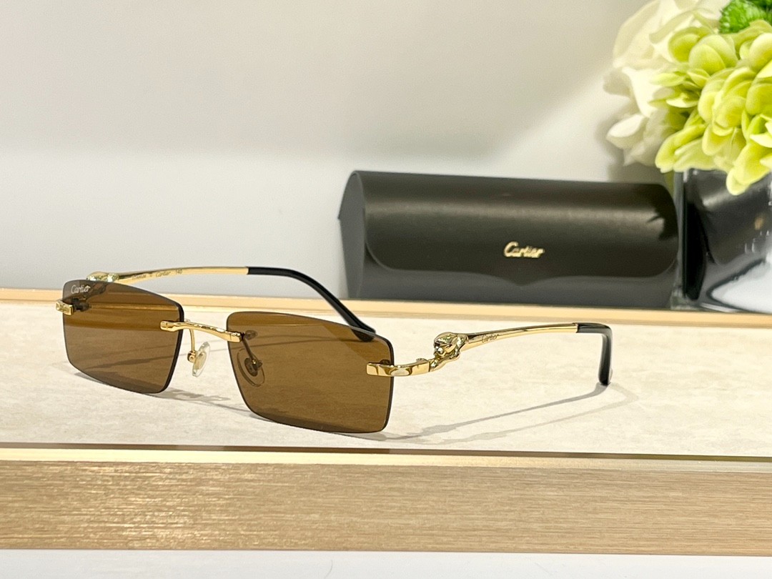 Cartier 02 glasses