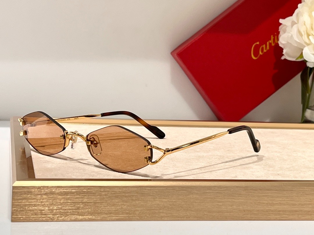 Cartier 01 glasses