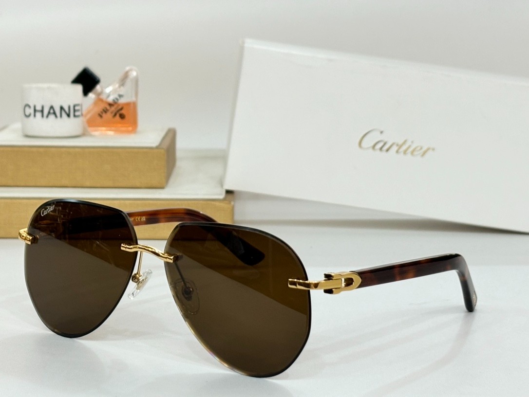 Cartier 01 glasses