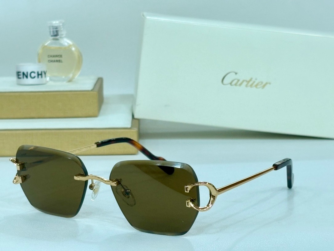 Cartier 01 glasses