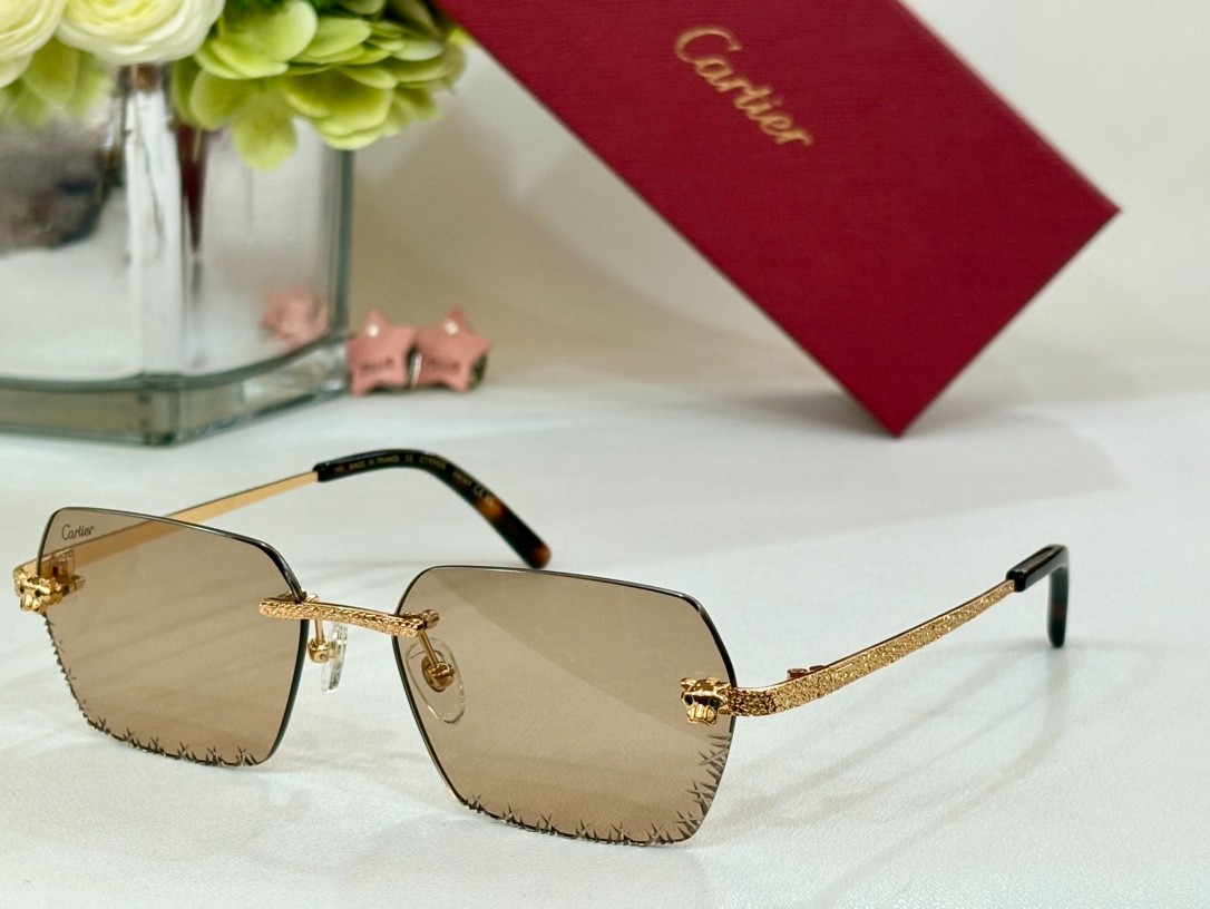 Cartier 01 glasses