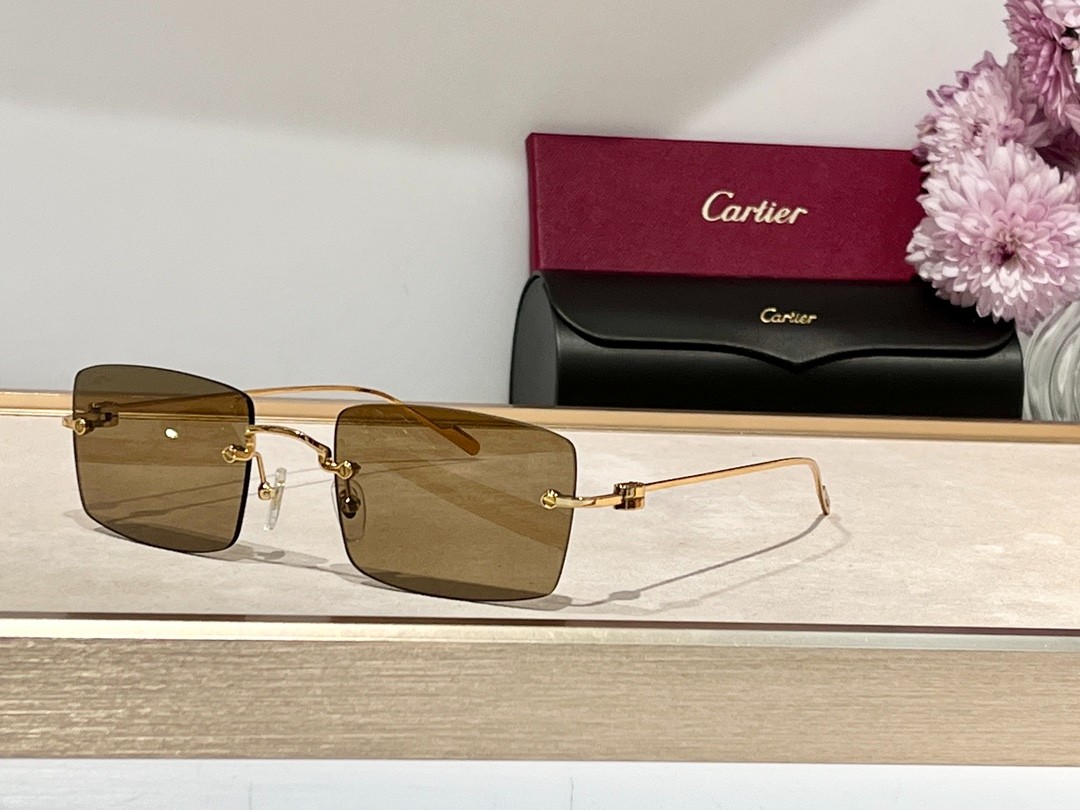 Cartier 01 glasses